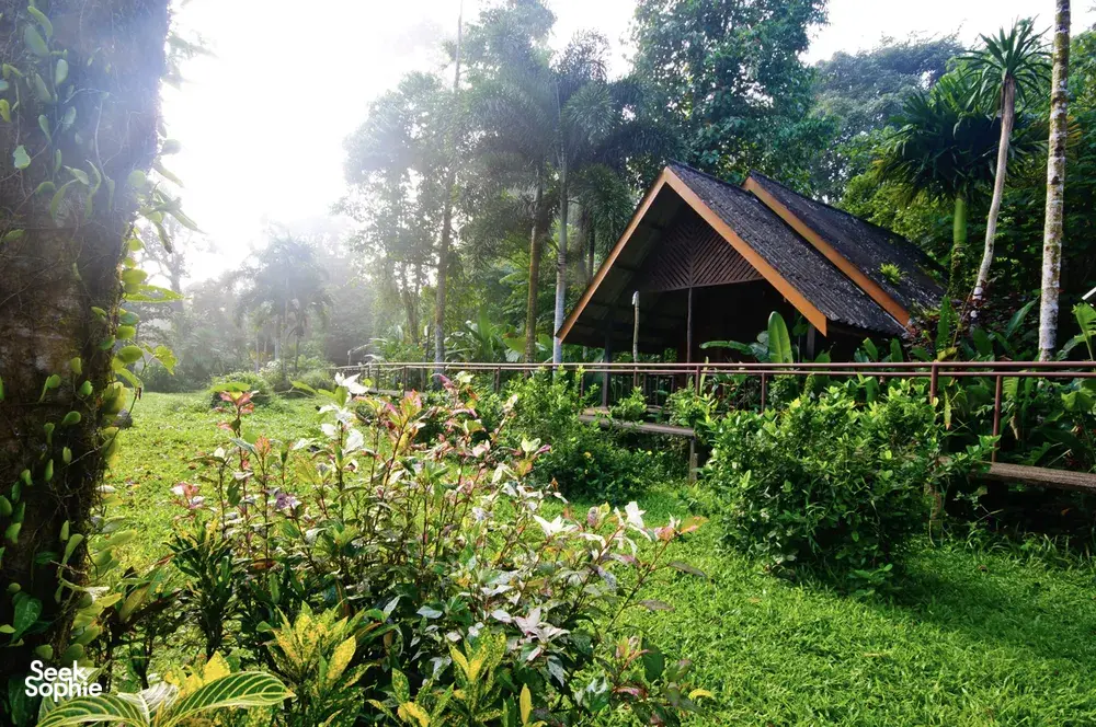 Thatched-roof riverside cottage surrounded by lush tropical gardens in Khao Sok, with sunbeams filtering through trees
