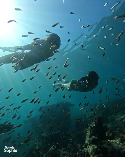 考拉秘境私人半日浮潜之旅
