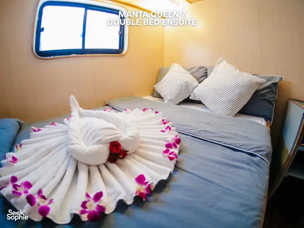 Seek Sophie option picture