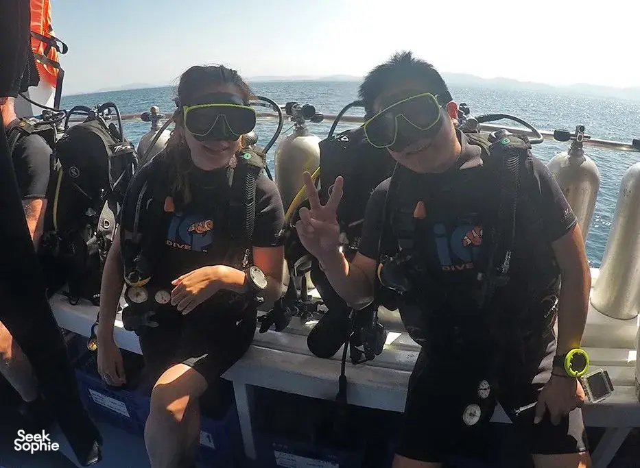 Seek Sophie option picture