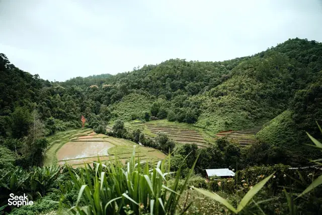 Lush terraced hillsides and forest valleys on the Hidden Doi Inthanon trails near Chiang Mai, Northern Thailand