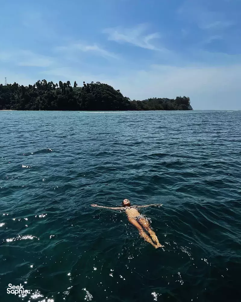 Seek Sophie option picture