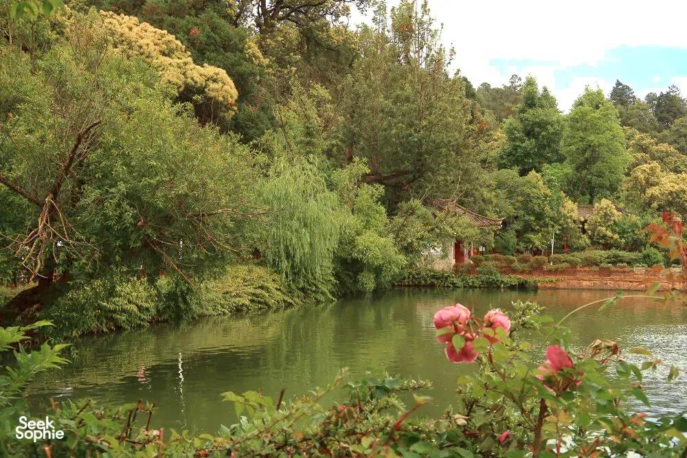 Pink flowers and dense greenery along a tranquil canal at Shuhe Ancient Town, Lijiang, with tree-lined banks