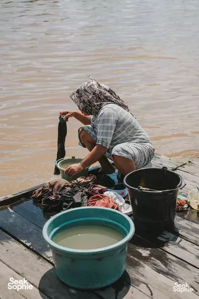Lebih Dekat dengan Orangutan: Kehidupan & Cerita di Pangkalan Bun