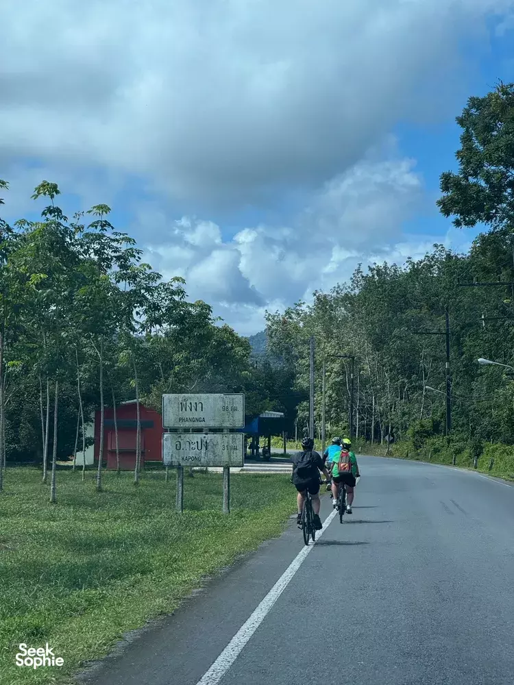 Seek Sophie option picture