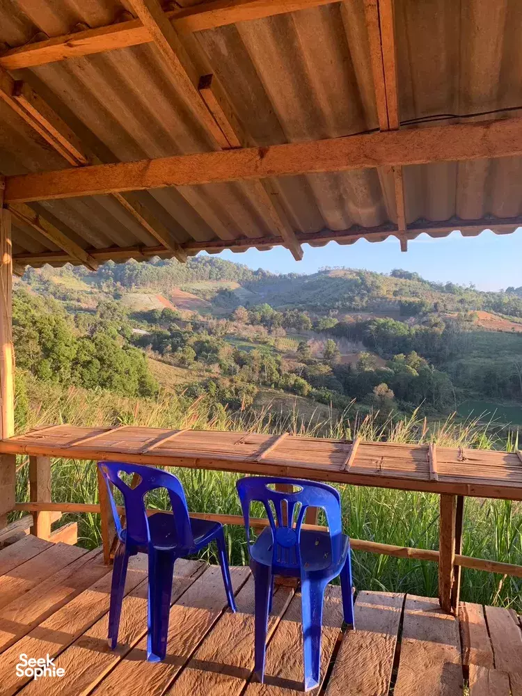 Seek Sophie option picture