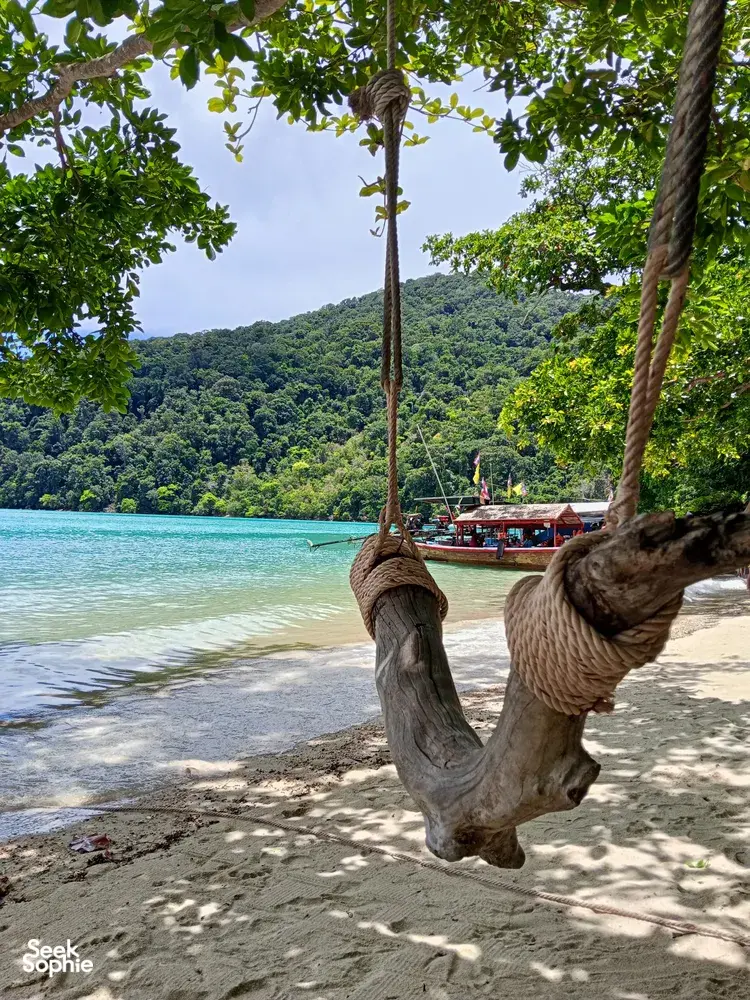 Seek Sophie option picture