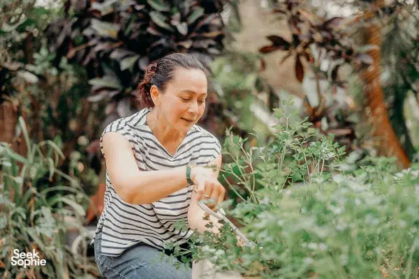 Susie Suwaree tending herb and vegetable plots in Chiang Mai’s garden, growing local ingredients for her home cooking class