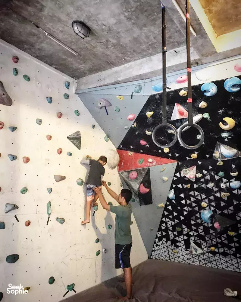 Seek Sophie option picture