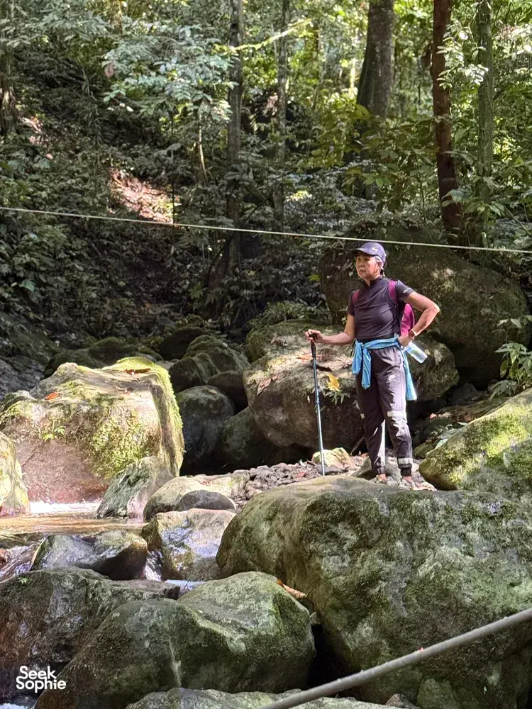 Seek Sophie option picture