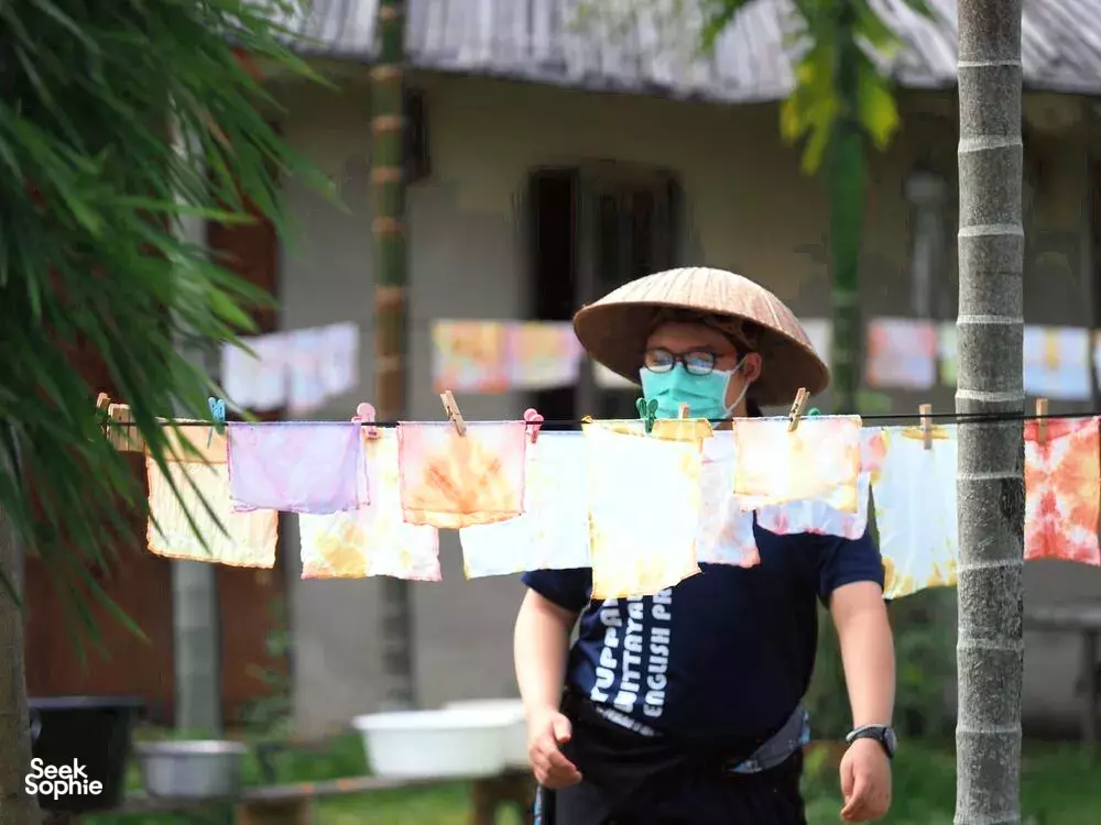 Seek Sophie option picture