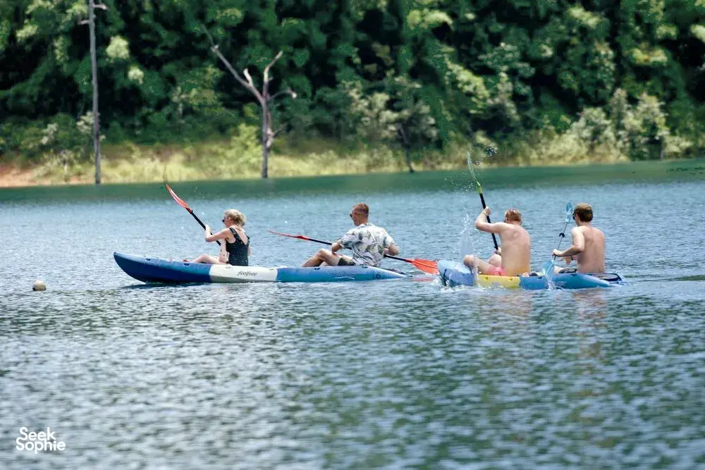 Seek Sophie option picture