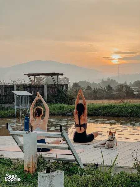 6D5N Chiang Mai: Volunteer with Elephants & Healing Reset (Girls Only)