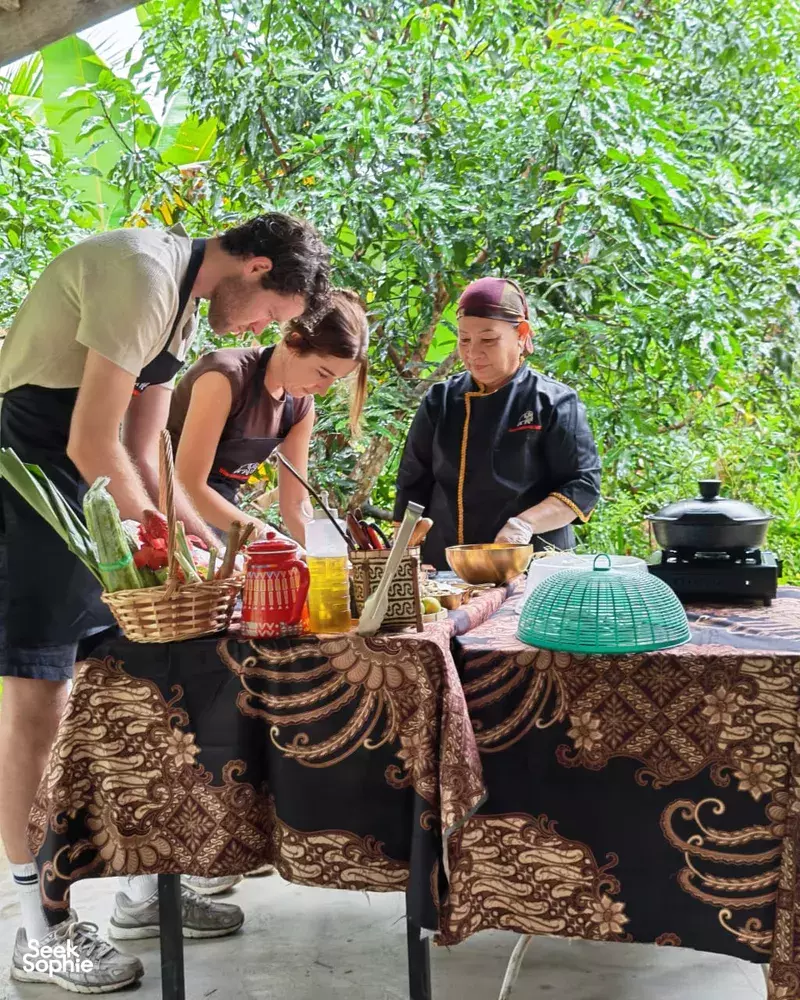 Seek Sophie option picture