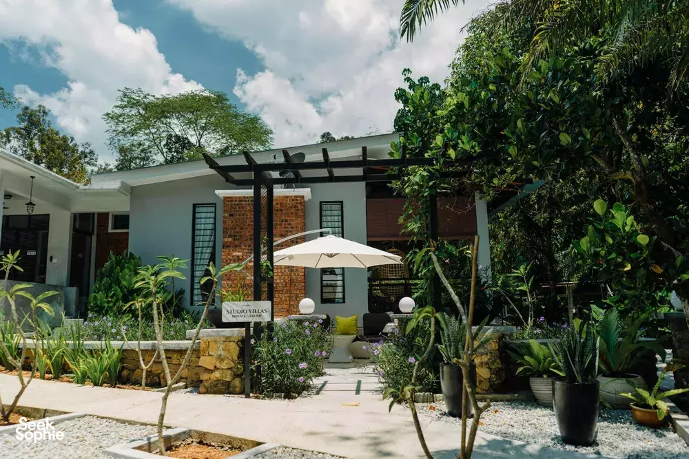 Seek Sophie option picture