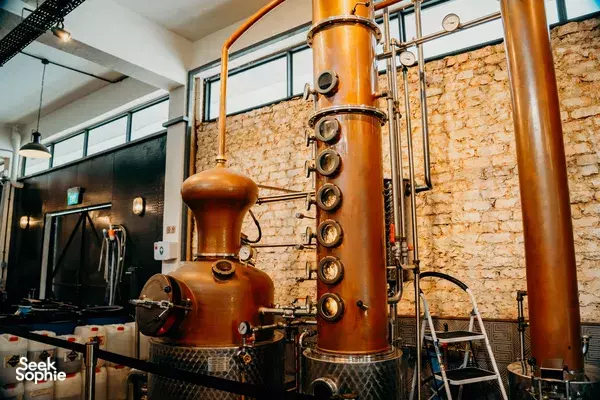Taste Gins at Award Winning Distillery