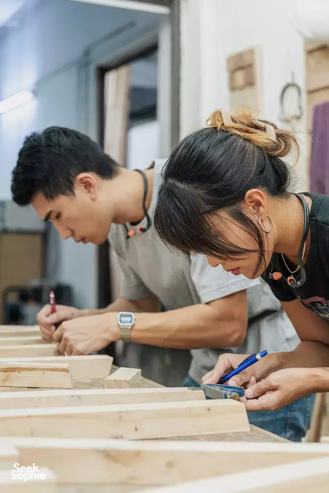 Seek Sophie option picture