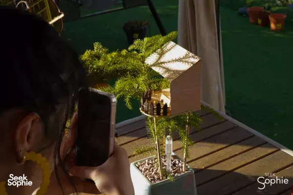 Build a Mini Treehouse on a Secret Rooftop Farm (Pet-friendly!)