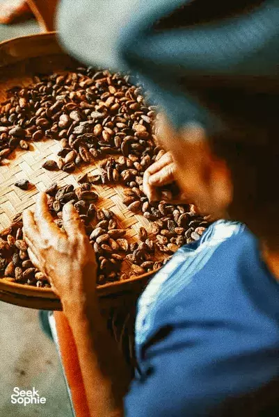 Coklat Asal Tunggal Buatan Tangan | Sokong Perdagangan Adil
