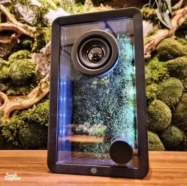 Build a Mossy Bluetooth Jukebox 