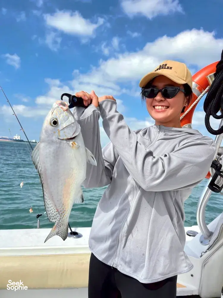 Seek Sophie option picture