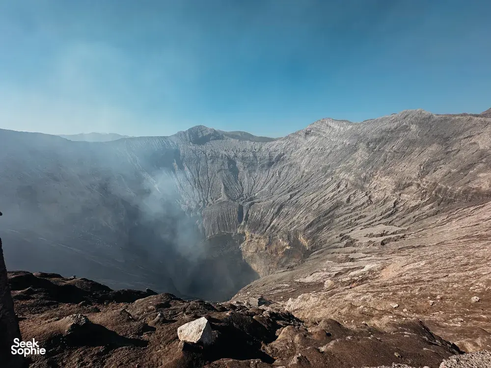 Seek Sophie option picture