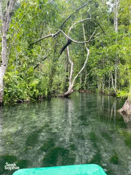 Still green lake water under rainforest branches with a canoe bow visible in the foreground at Khao Sok National Park