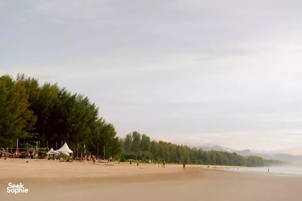 Seek Sophie option picture