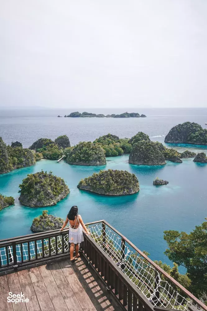 Seek Sophie option picture