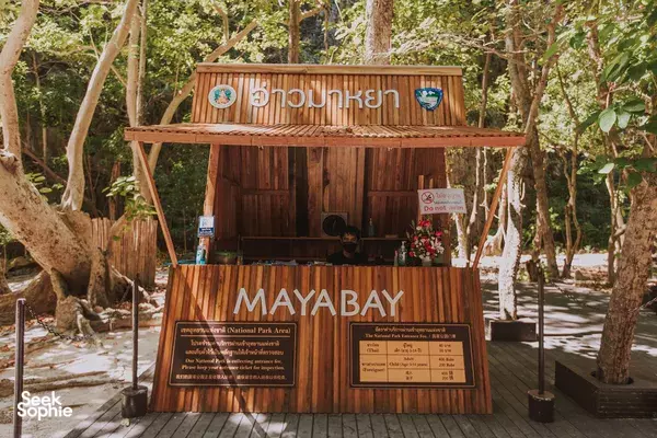 Full Day Phi Phi Islands Trip by Speed Boat | Start from Krabi
