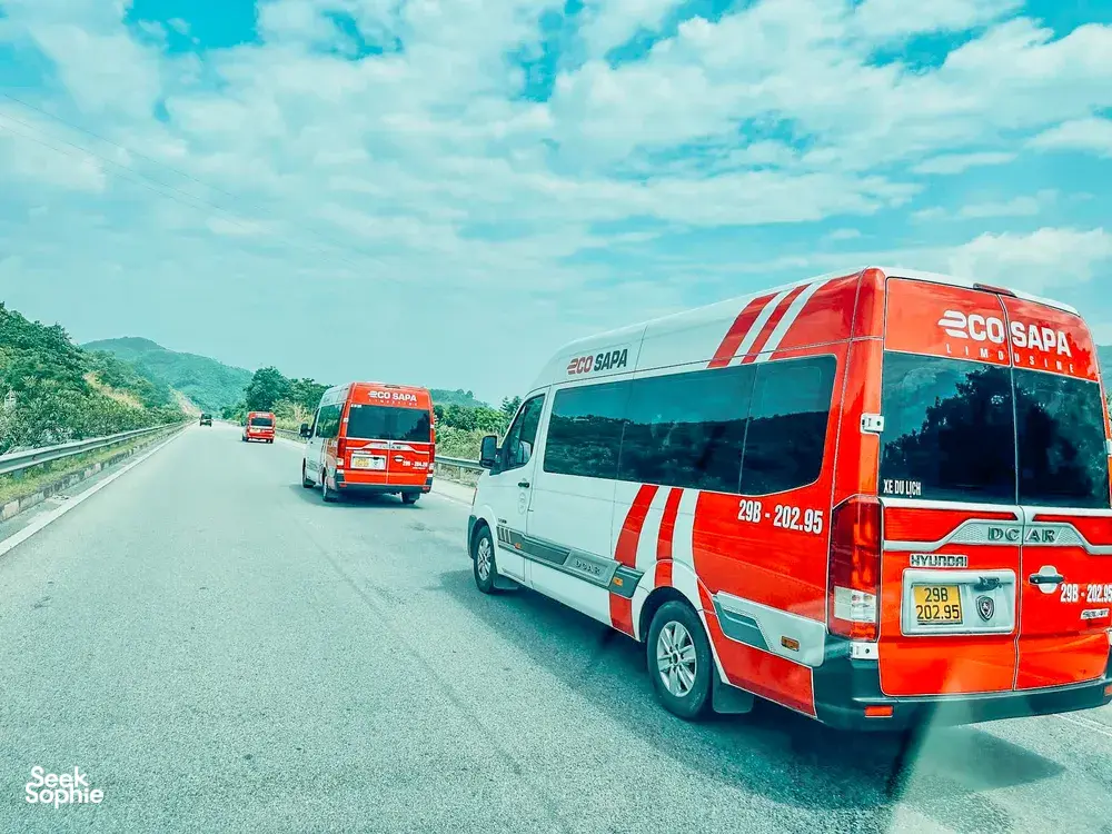 Seek Sophie option picture