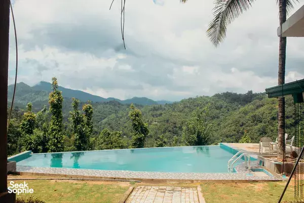 Sunlit infinity pool and palm-framed view of forested mountains at Old Frankland Tea Estate, Kandy, for a relaxing stay