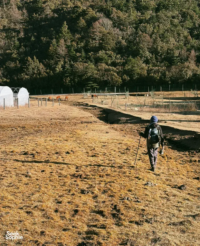 Backpack hiker on Jade Dragon Snow Mountain near Lijiang walks past fenced grazing land and greenhouse shelters