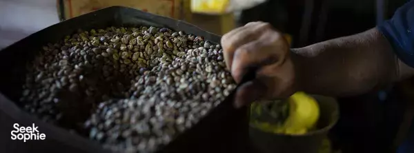 Get Up Close with Singapore's Disappearing Trades