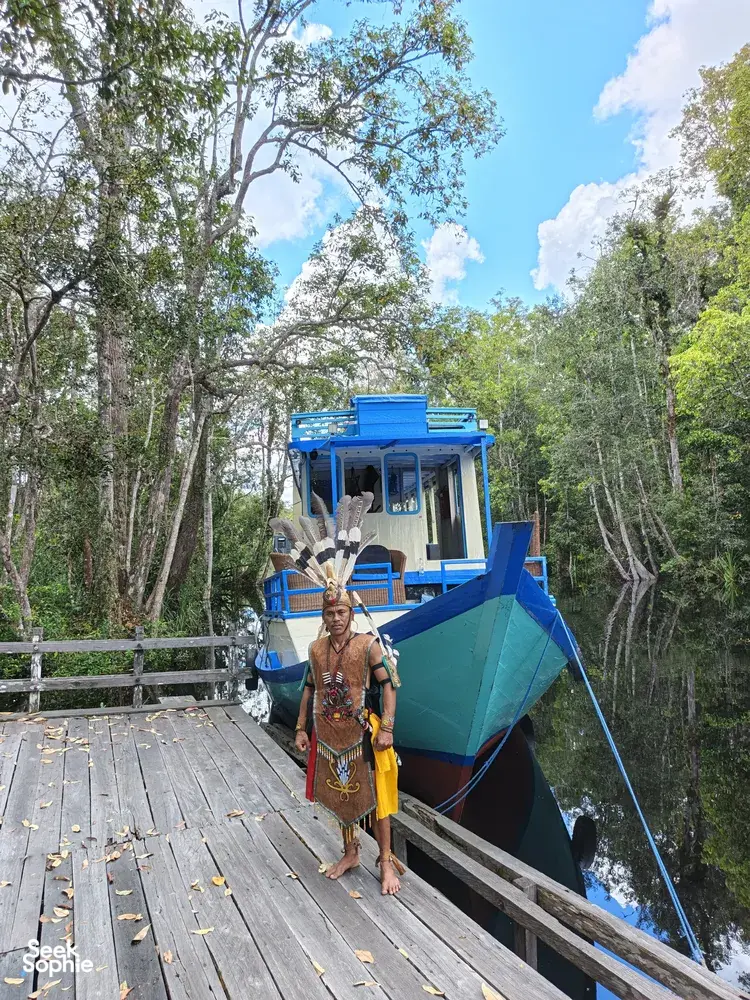 Seek Sophie option picture