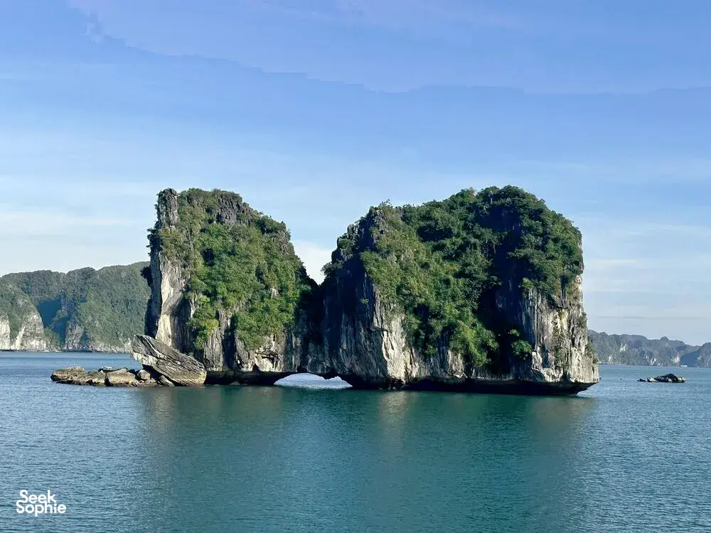 Seek Sophie option picture