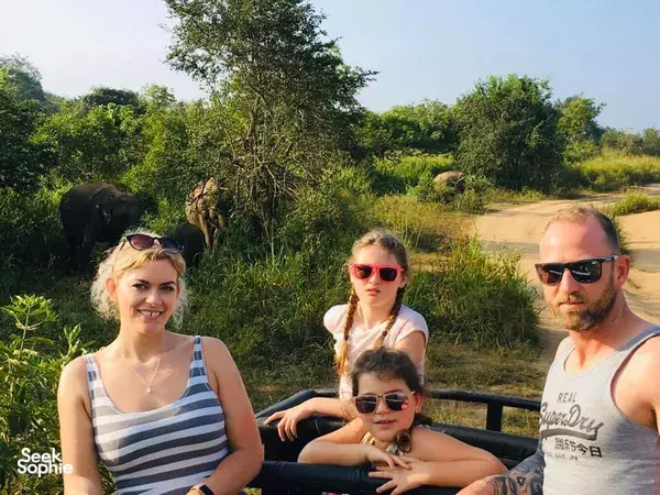 Kaudulla National Park | Morning Jeep Safari