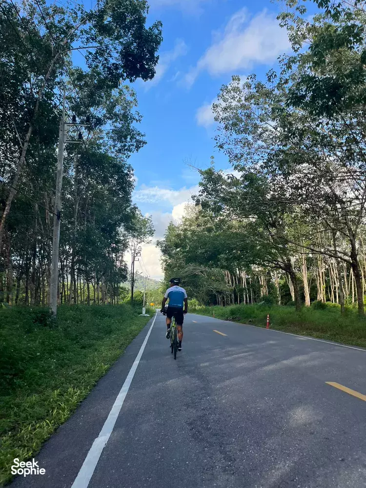 Seek Sophie option picture