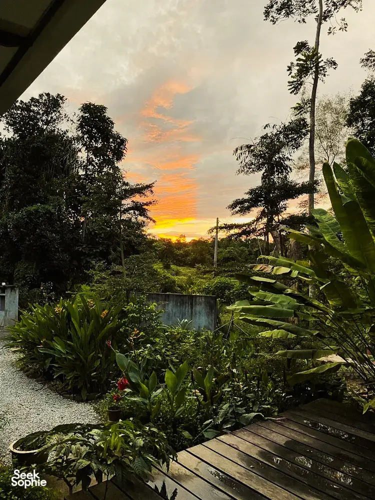 Langkawi permaculture farmstay at sunset with a wooden deck, garden plants and palms along a gravel path at Kebun Lidstari