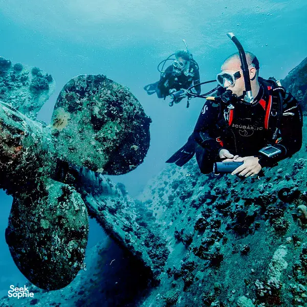 2 Fun Dives at Richelieu Rock | Chance to see Whale sharks!