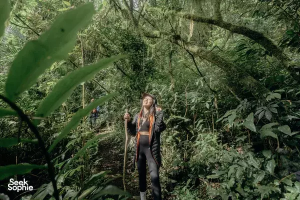 Munduk: Ancient Jungle Trekking and Remote Waterfalls Adventure 