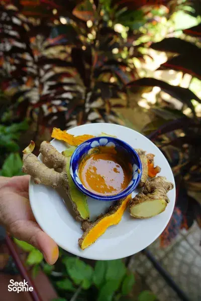 Discover the Healing Magic of Plants with Seasoned Herbalist