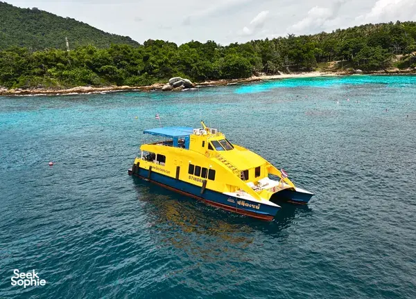 斯米兰群岛双潜体验 | 从考拉出发 | 舒适潜水船 & 经验丰富团队