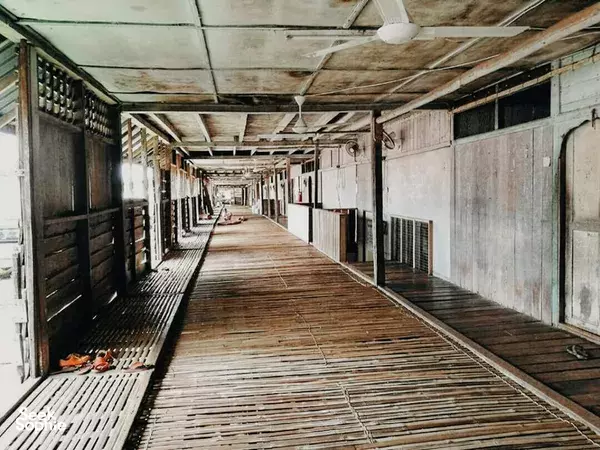 2H1M Batang Ai Longhouse | Orangutan, Suku Iban & Lebih Lagi