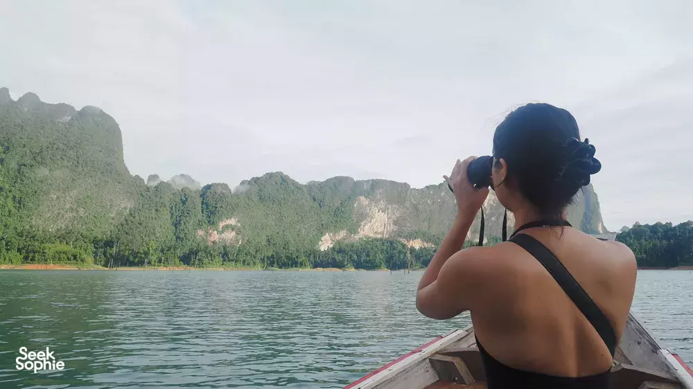 Seek Sophie option picture