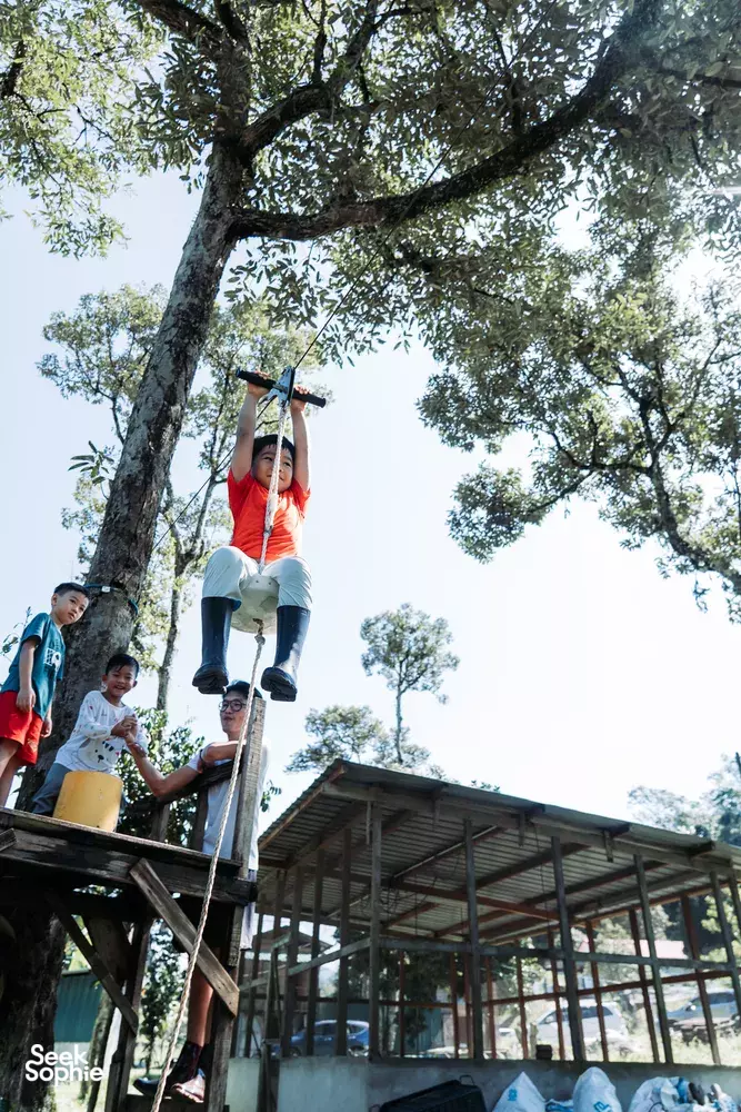 Seek Sophie option picture