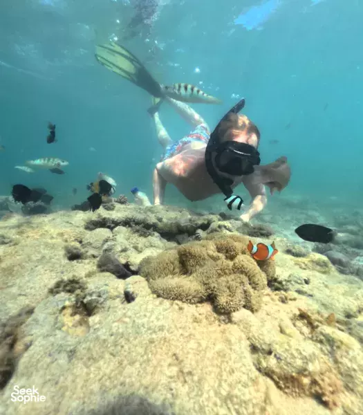 5 Secret Gilis: Most Comprehensive Island Hopping & Snorkelling Adventure