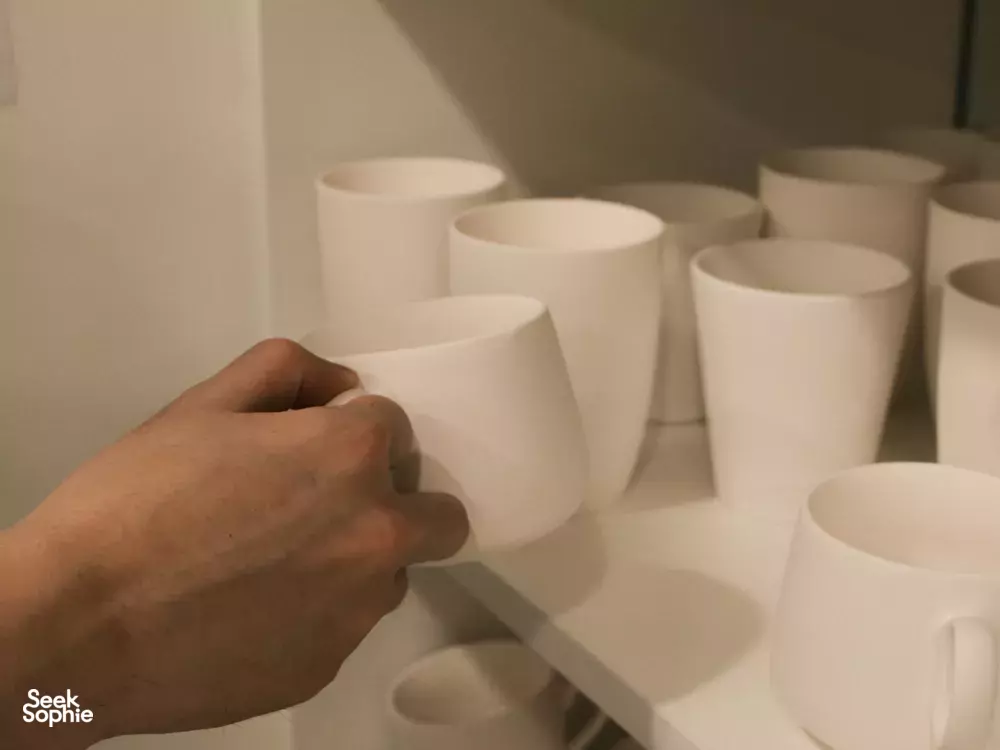 Seek Sophie option picture