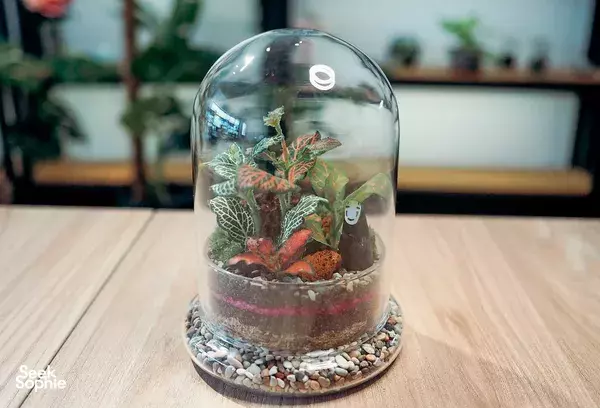 Workshop Membuat Terrarium Pribadi