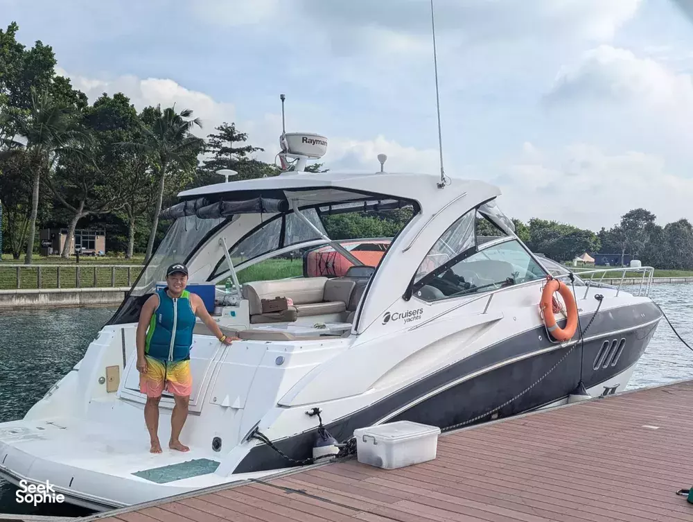 Seek Sophie option picture